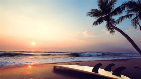 Slanting Palm Trees Ocean Waves Beach Sand Surf Board During Sunset Hd