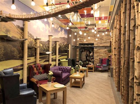 London's first cat cafe has opened to such a huge demand that it is fully booked for its first two months. Cat lovers rejoice - a new cat café has opened in Leeds ...