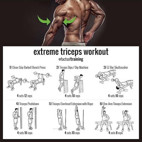 5 Day Best Tricep Exercises Gym For Women Fitness And Workout Abs Tutorial
