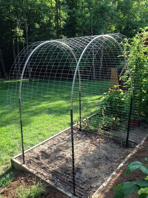 Arch trellises bring sculptural beauty and function to landscapes of all sizes. Arched trellis for cantaloupe, watermelon and sugar ...