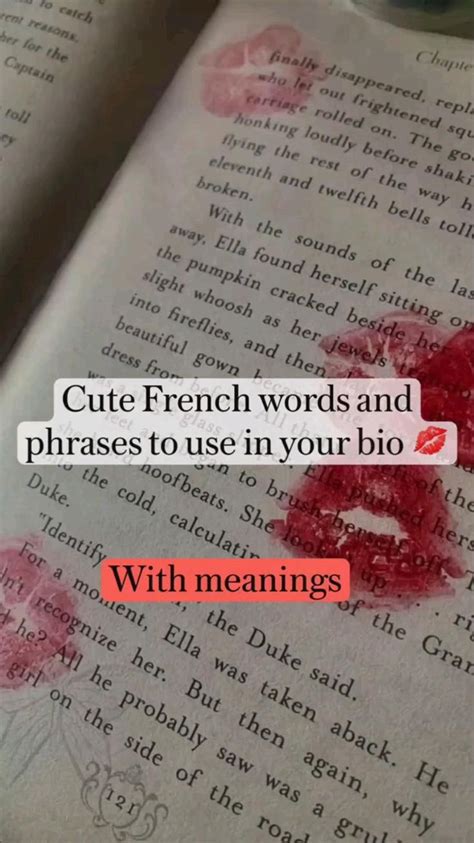 Cute French Words And Phrases To Use In You Biowith Meaning Not Mine