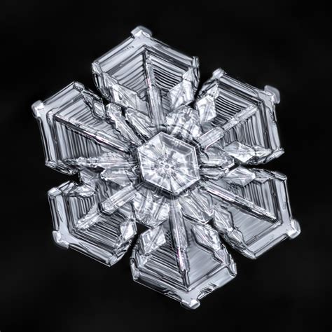 You'll see a button labeled record macro. How a Snowflake Photographer Turned His Passion Into Money ...