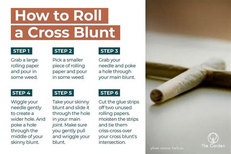 How To Roll A Blunt For Beginners In 5 Easy Steps