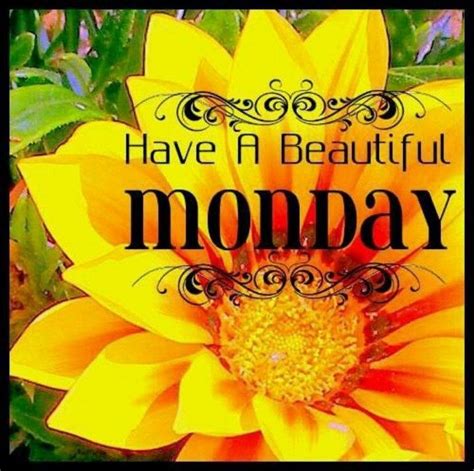 Have A Beautiful Monday Pictures Photos And Images For Facebook