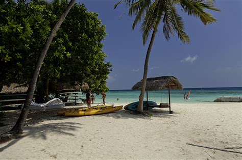 Фотография Мальдивы Пляж Природа тропический