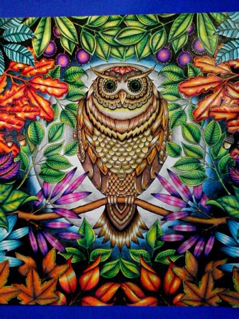 Meet johanna basford and her inky world of coloring. Owl Secret Garden. Coruja Jardim Secreto. Johanna Basford ...