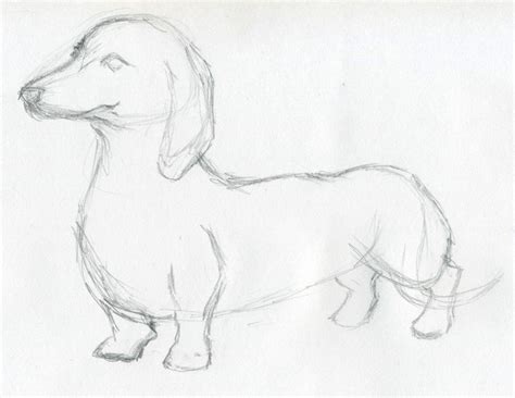 See more ideas about pencil drawings of animals, drawings, animals. Dog Sketches For Inspiration