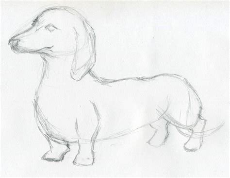 Dog Sketches For Inspiration See more ideas about animal art, art, animal drawings.