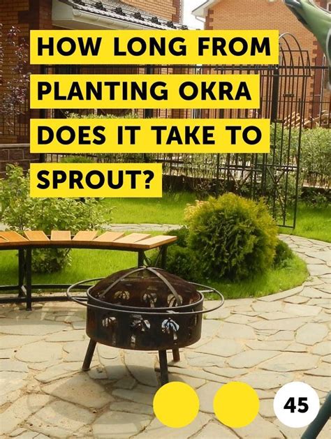 Sprouting seeds at home is a great way to give yourself access to healthy, tasty sprouts around the clock. How Long From Planting Okra Does it Take to Sprout ...