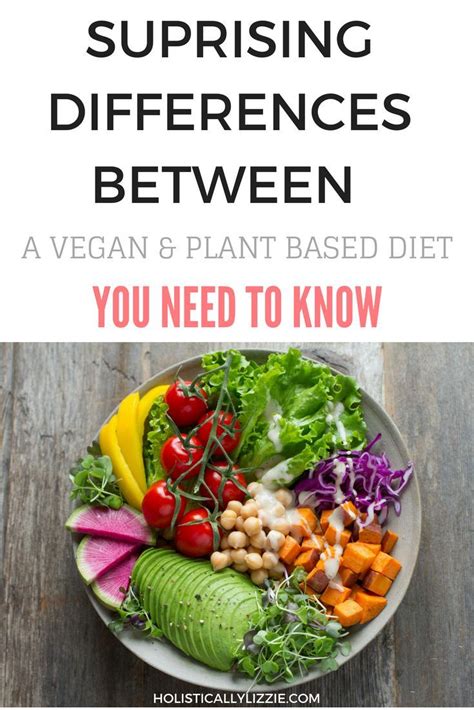 What Are The Differences Between A Vegan And Plant Based Diet What Is