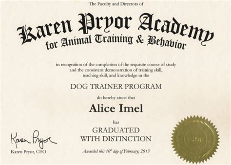 How To Become A Dog Trainer Career Salary And Training 2024 Updated