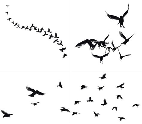 Crows In Flight PNG Stock Crow Flying Crow Crow Tattoo
