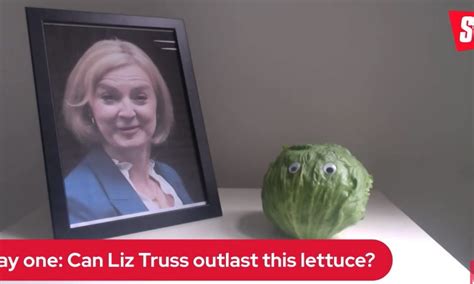 The Daily Star Is Livestreaming A Lettuce Betting That It Will Last