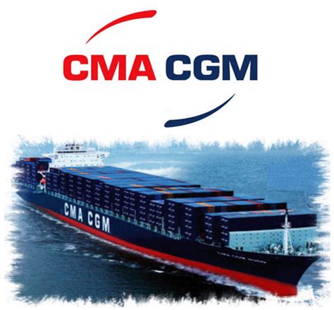 Cma Cgm Takes India Logistics Stake Quantum Indonesia Translogistic