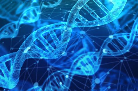 New Research Reveals How Genes Turn On And Off Cornell College Dna Sequence Fact And Opinion
