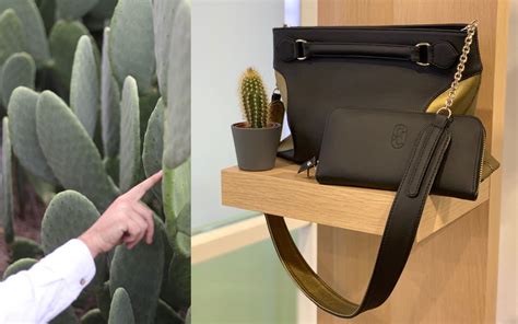 There is a range of materials that can be used to make vegan leather including synthetics like plastic and natural materials such as cork. DESSERTO |CACTUS VEGAN LEATHER | Green Product Award