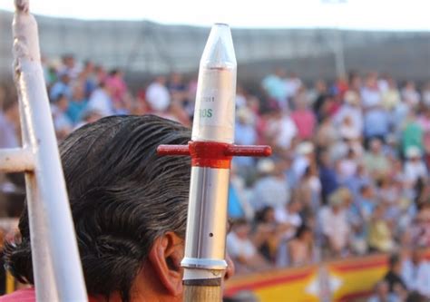 Maybe you would like to learn more about one of these? extrapicurciela: Los gracilianos vuelven a convencer ...