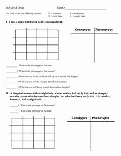 Gb 5.a male rabbit homozygous dominant for hair and homozygous recessive for. 50 Dihybrid Cross Worksheet Answers | Chessmuseum Template ...