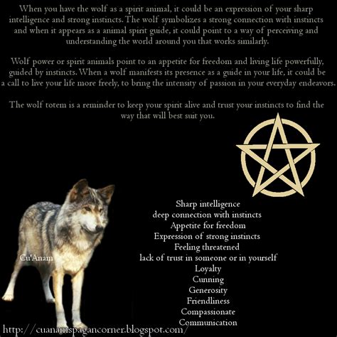 Pin By Nuba Kotze On Wolves Wolf Spirit Animal Wolf Spirit Wolf Quotes