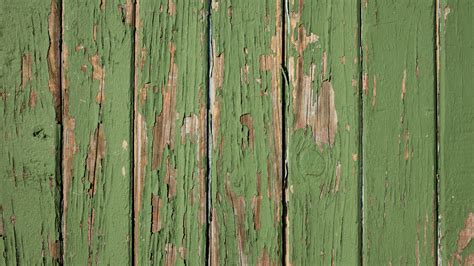 Find the perfect green wood background texture stock photo. Free Images : tree, board, wood, field, texture, leaf ...