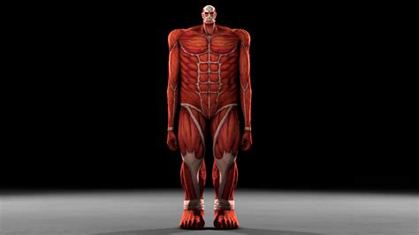 Sfmlab Colossal Titan Aot Wings Of Freedom