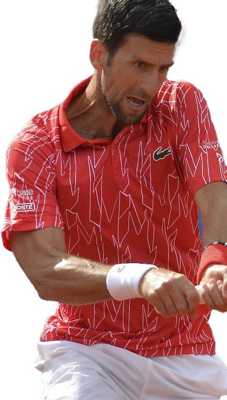 Novak Djokovic Jugador De Tenis Png Png Mart