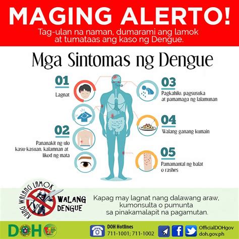 Gamot Sa Dengue Sintomas Ng Dengue San Nagmumula Ang Dengue Paano My