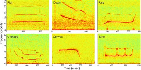 Spectrogram Of The Six Whistle Tonal Types Spectrogram Configuration