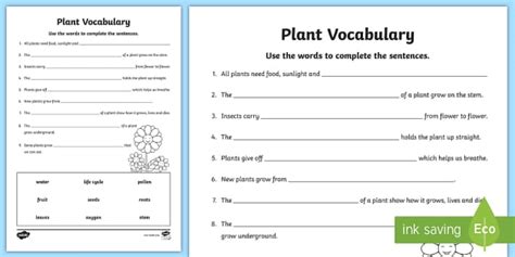 Plant Vocabulary Worksheet Teacher Made Twinkl