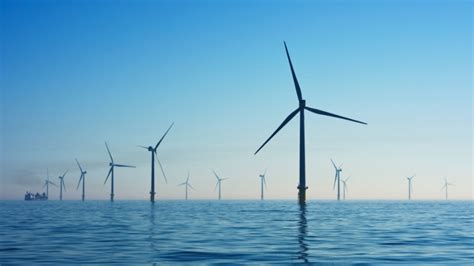 Samsø ist dänemarks „insel der erneuerbaren energien. Seegras reinigt Meer von Mikroplastik - globalmagazin