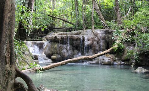 Erawan Falls Kanchanaburi Jungle Swimming Go To Thailand