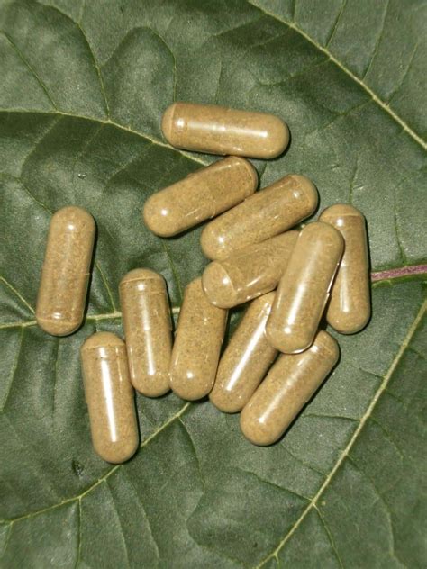 Top 10 Positive and Negative Kratom Effects – Kratom Online – Buy
