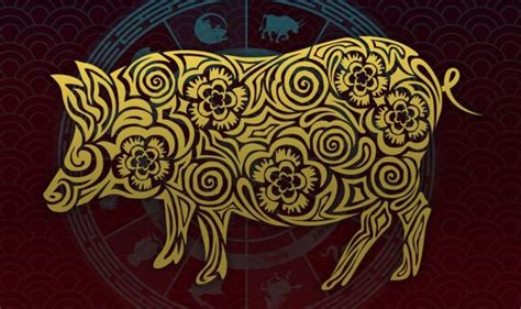 The chinese zodiac rat has wisely saved money during the previous year, which will come in handy during the. Pig 2021 zodiac horoscope: What your Chinese zodiac sign ...