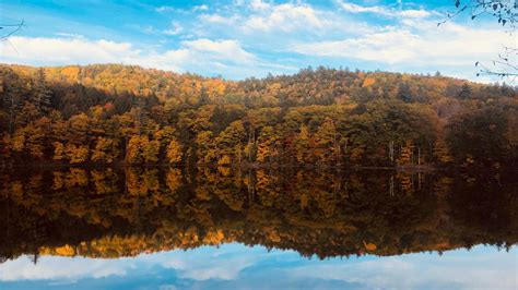 Download Fall Autumn Lake Trees Reflections Nature 1366x768