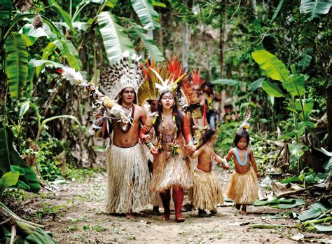 Un Sexe Pas Si Sauvage Dans La Jungle D Amazonie A R Magazine