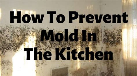 Take a look at your air vents to see if they're blocked. How To Prevent Mold In The Kitchen Easily