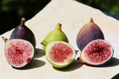 Comparing Fresh Fig Varieties Bakepedia Tips
