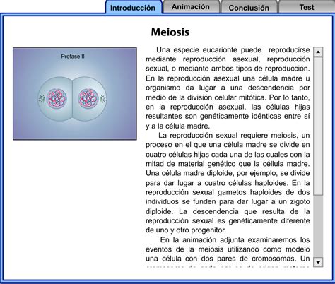 Flash Explicativo Sobre Meiosis Recursos Educativos Digitales