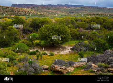 Sevilla Bushman Rock Art Trail Clanwilliam Cederberg Mountains