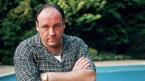 Whatever Happened To The Cast Of The Sopranos