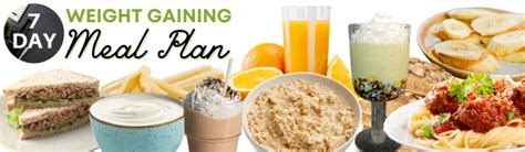 Free Day Weight Gaining Meal Plan Calories The Geriatric