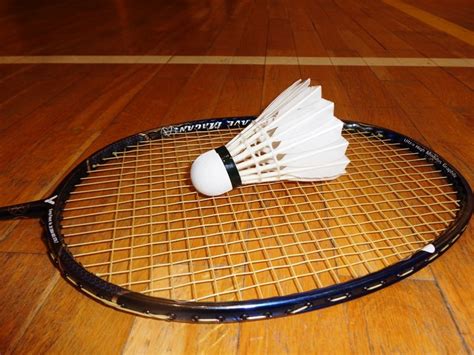 Reprezentacja naszego kraju to światowa czołówka, co udowodniła już nie raz. UDANE STARTY BABICKICH BADMINTONISTÓW | Gminny Ośrodek ...