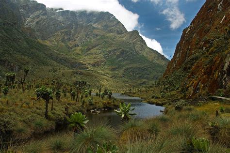 Rwenzori Mountains National Park And The Mountains Of The Moon