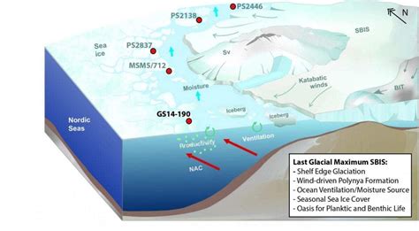 Ice Free Corridor Sustained Arctic Marine Life During Last Ice Age