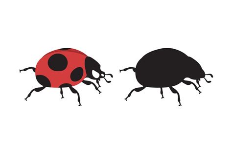 Ladybug Silhouettes And Illustrations