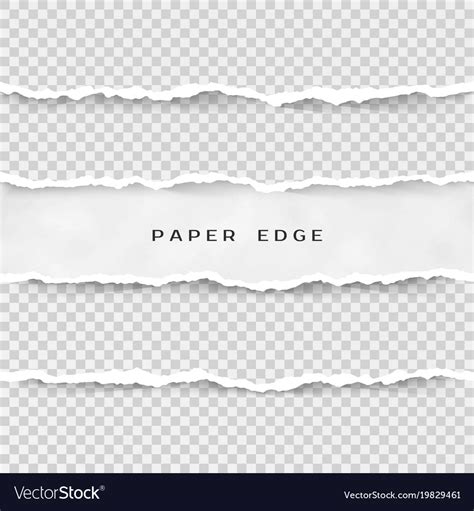 Set Torn Paper Stripes Paper Texture Royalty Free Vector