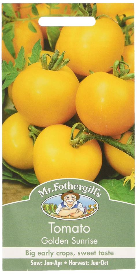 Mr Fothergills Pictorial Packet Vegetable Tomato Maskotka 20 Seeds Seeds And Bulbs Garden And Patio