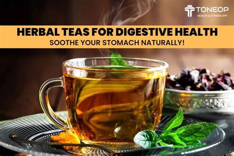 Herbal Teas For Digestive Health Soothe Your Stomach Naturally