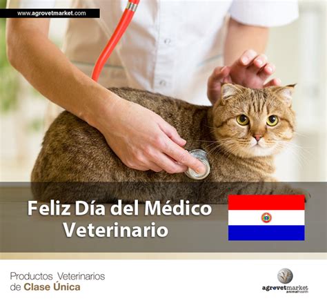 Mensaje de felicitación a los médicos en su día | universidad del cauca. ¡Un gran saludo a todos nuestros amigos en Paraguay! - 12 ...