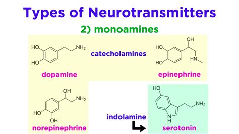Neurotransmitters Type Structure And Function Youtube